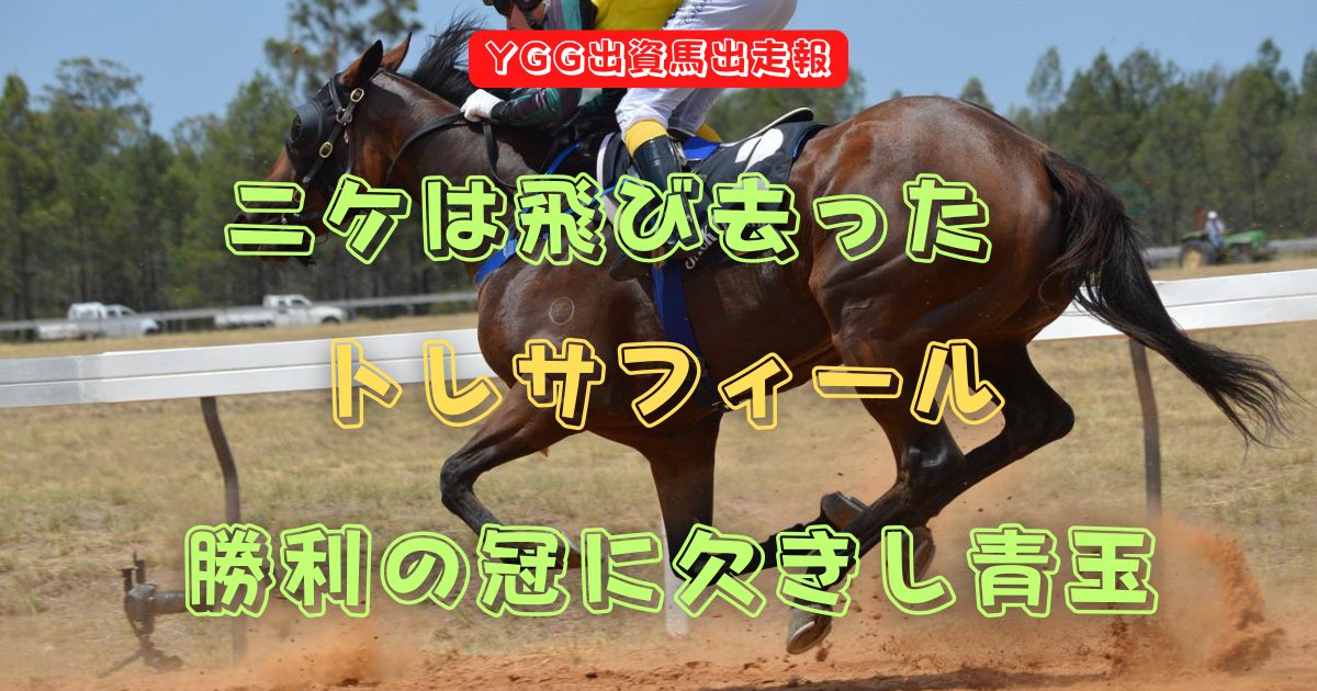 ニケは飛び去った　トレサフィール　勝利の冠に欠きし青玉